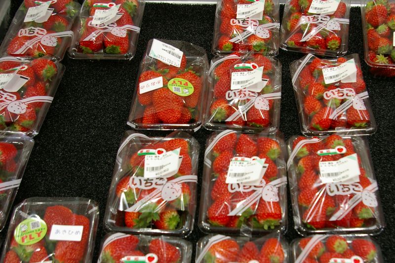 生産者が並べるイチゴはたくさん