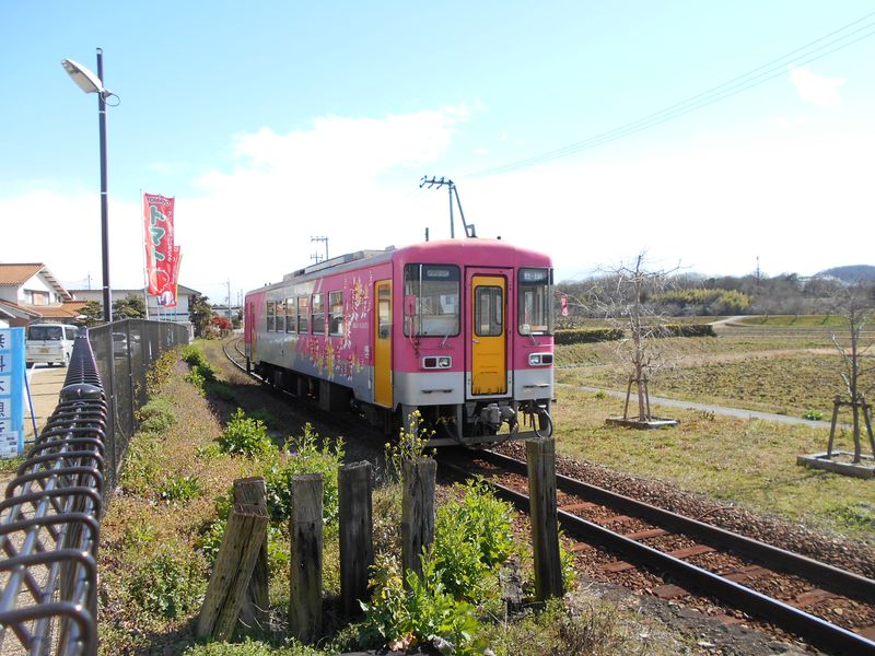 北条鉄道のピンクの列車