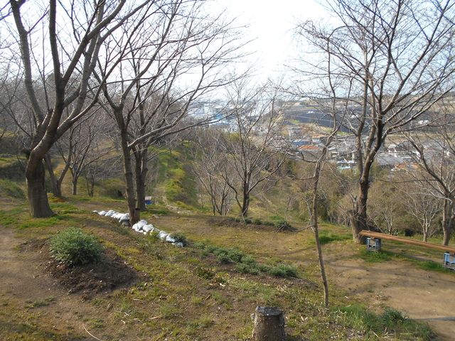 日笠山公園の1000本桜