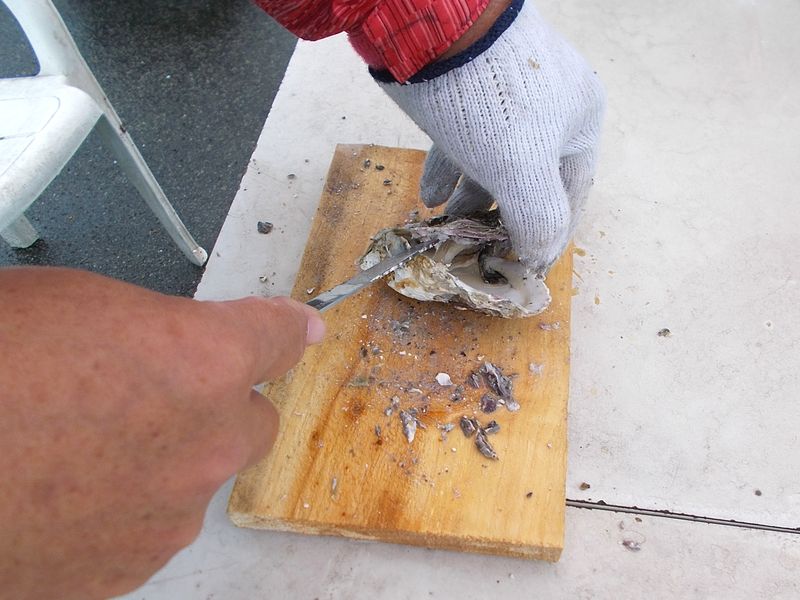 貝柱が切れたら、ナイフを回転させると開くので、貝の身をきれいにゆっくりとはがしていく
