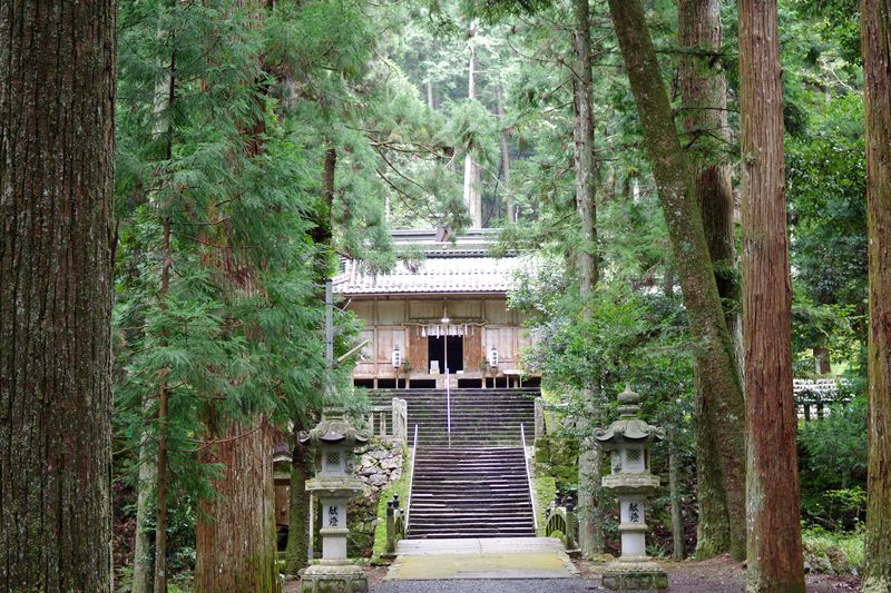 荘厳な佇まいな内尾神社　巨杉はお社の周囲