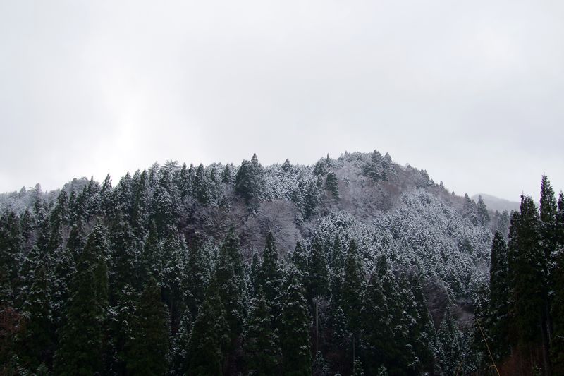 標高900m近い戸倉旧峠の途中から見える山は、もう冬になる