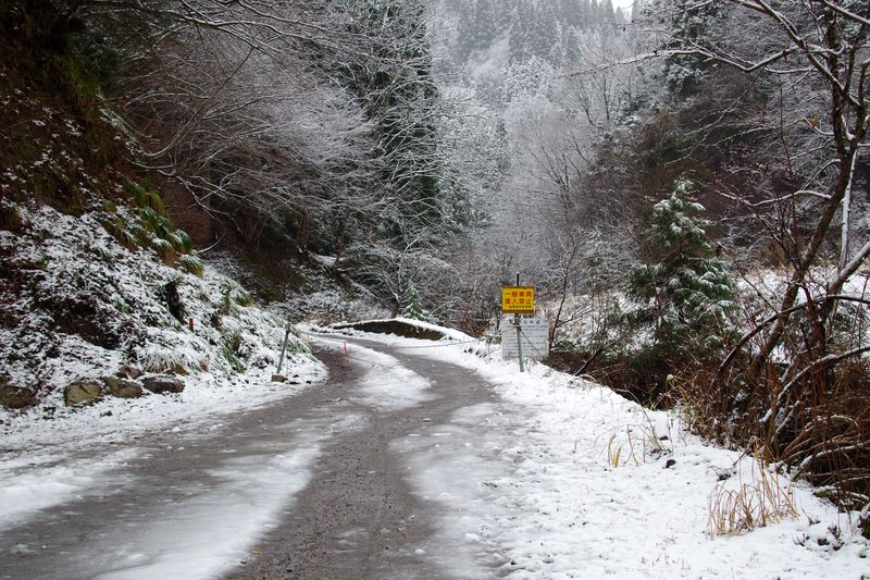 戸倉峠旧道　残念ながら旧道は通行止めでしたが、雪の山の静寂を味わった