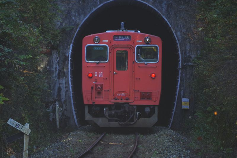トンネルが続き 再びトンネルへ入る この希少な顔 キハ41-2005 229D
