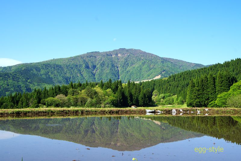 山の向こう側は鳥取県　県境の山だ