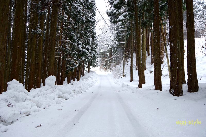 林道ドライブ　静かな走行音が雪を感じさせる