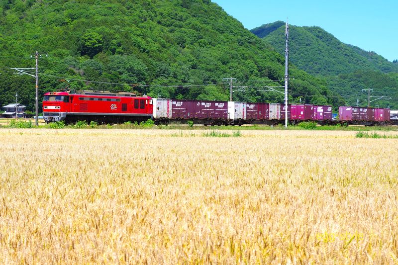 1086レ EF510-6 遅れ僅かで赤い日本海機関車がやって来た