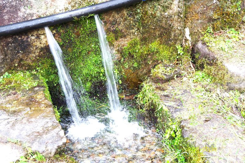 湧水をホースで引き込んでいる水汲み場