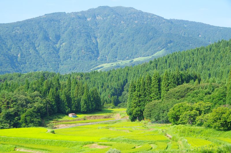 棚田を下ってぐるり一周の散策も気持ちが良いが夏は閉口