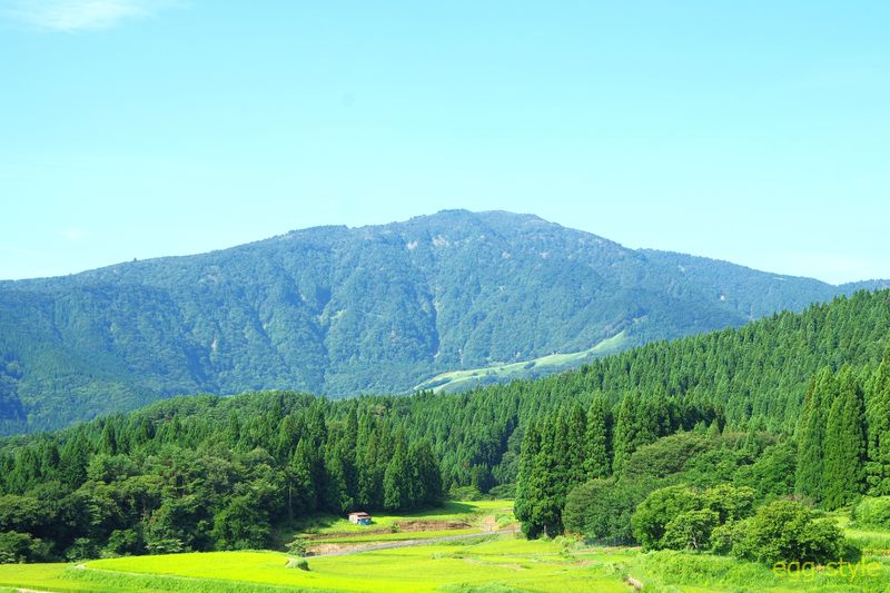 秋になるといろんな色が見え　自然の雄大さを感じる