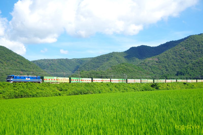 EF210-361 下り55レ 福山通運専用列車　夏の風景です