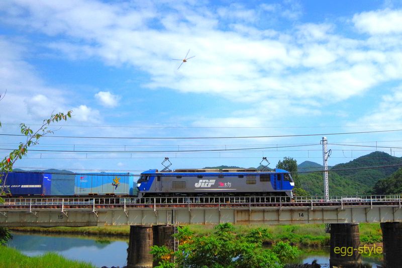 EF210-147 上り1062レ トンボがたくさんの千種川　トンボと撮影