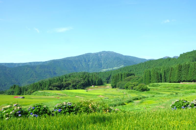 鉢伏高原から見る氷ノ山と棚田