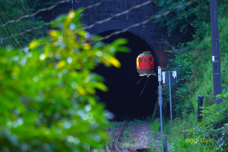 1225D キハ41-2002 城崎温泉行 足湯と駅弁の日帰り旅の列車