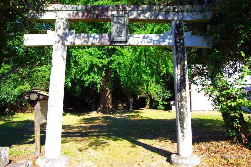 和多理神社　境内中ほどに古く大きなイチョウの木があり、秋はきれいでしょう