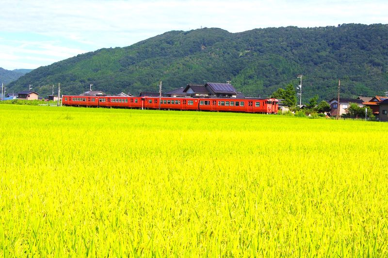 朝日が強すぎてきついですが、華やかな朱色5号首都圏色キハ47