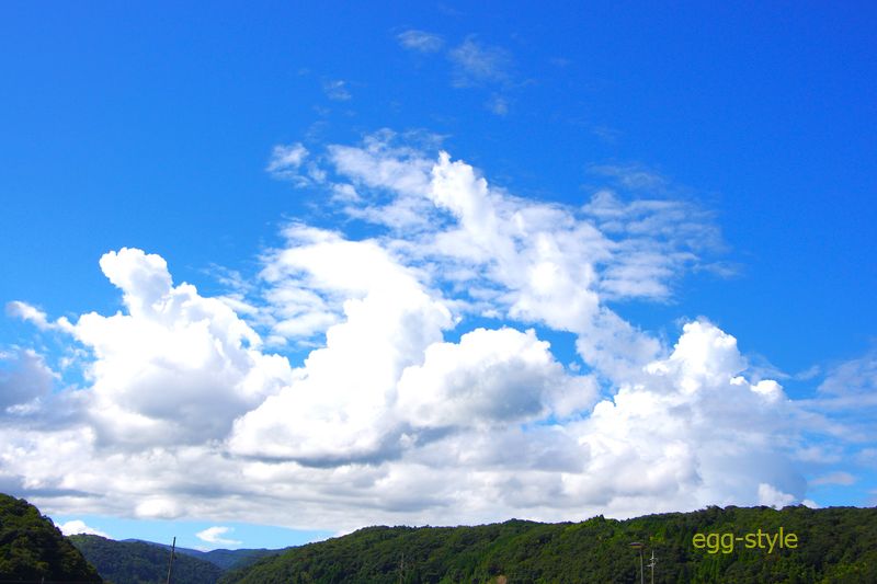 朝一番からこの輝く青空 良い天気なれど残暑は厳しい