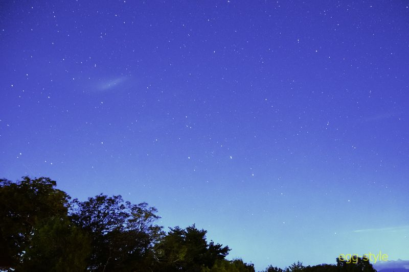 北から北東だったはずですが、北斗七星は地平辺りです