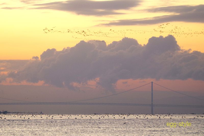 白み始めた空に次々に海鳥の群れが飛ぶ　彼らも新年初仕事だ