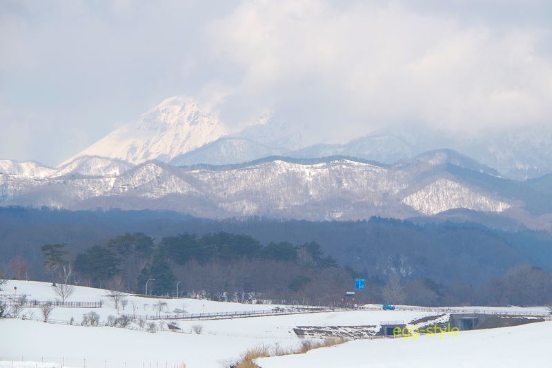 蒜山高原から見るも　雲から頂きが現れることはなかった