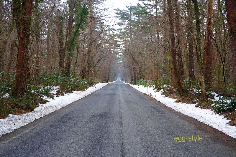 大山ICから一気にこんな直線路 広葉樹の林の中をかけ登って行く　