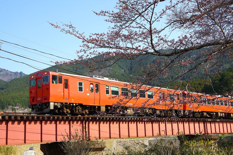 224D キハ41-2005/キハ40-2006 日差しは良く、光線はいいんですが……