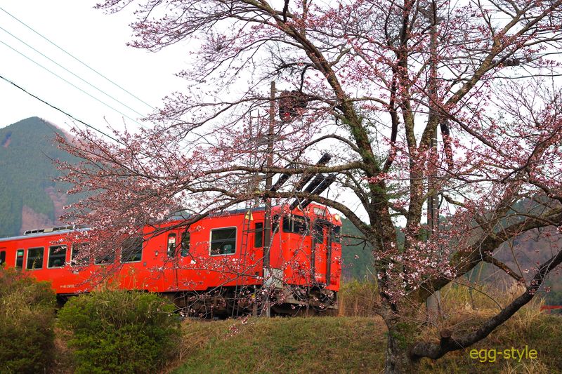 221D キハ41-2002/キハ40-2008 朝一番の下り列車 明るい朝になってきました