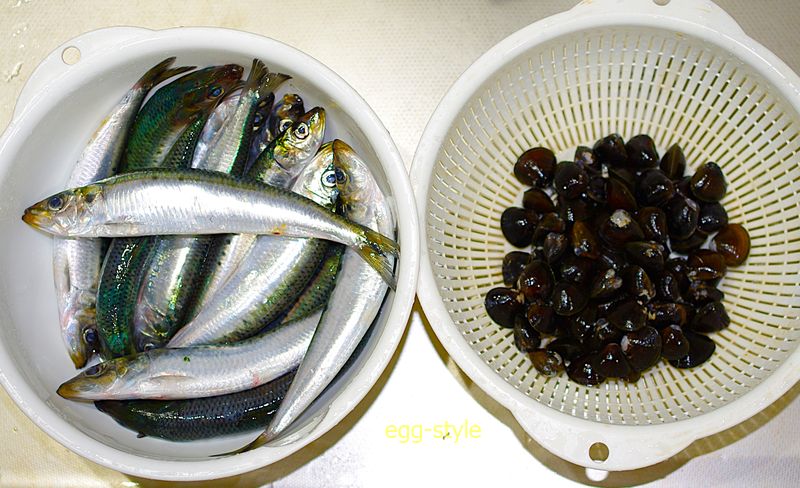 牛さんとかなり違うが、東郷湖のシジミと境港の朝揚げイワシ うまい!