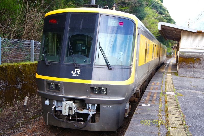 長谷駅にて後部車両 キヤ141-1
