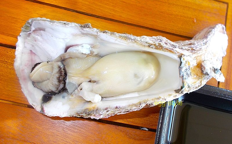 でっかい岩ガキの身 味付けはいらない潮の味
