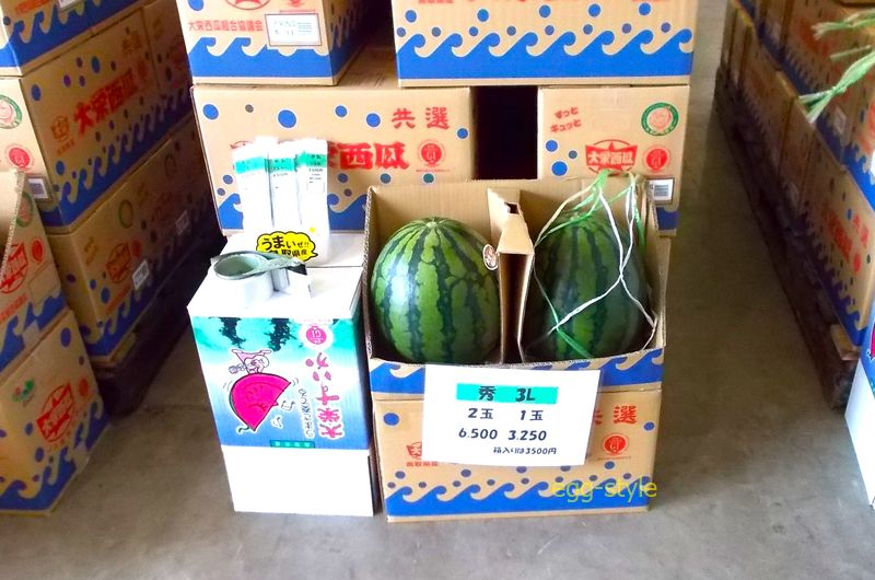 選果場から箱詰めして直売所へ 当たり前だがそこらスイカだらけ