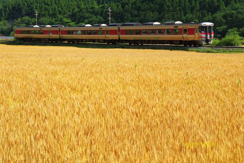 2D キハ189 但馬特急はまかぜが高速で大阪に向かう 閑散期は3連で夏冬は6連だ