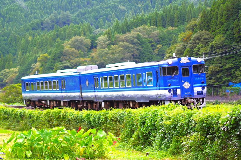 智頭駅に向かって、ここでは快走のあめつち