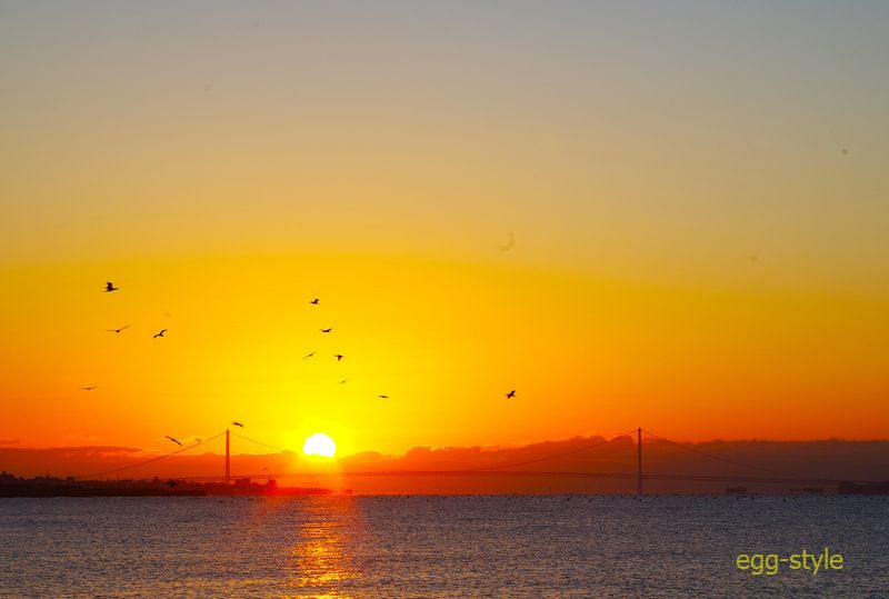 海鳥がご来光を受けて舞いますが、小魚の群れがいるんでしょうね