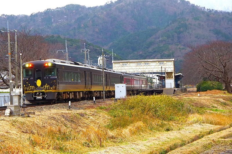 追いかけ写真の準備をしていたら はなあかりが先頭にいた発見　でも失敗だらけ