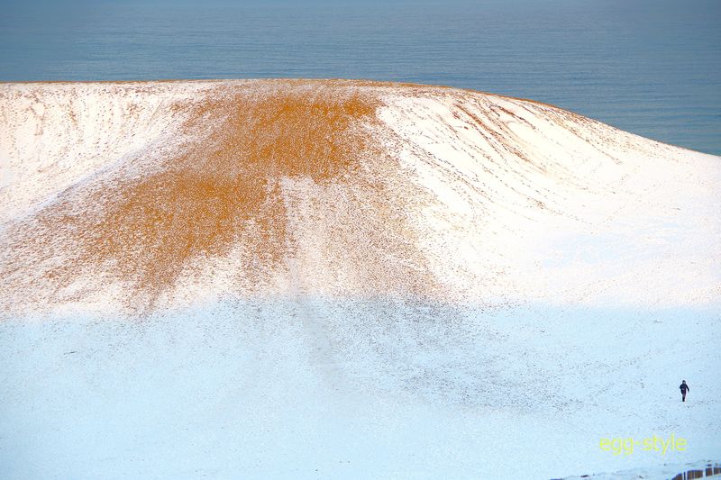 駆け下りて行ってみたかったですが、自嘲しました