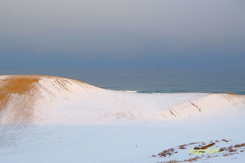 こんな砂丘でも大きなスケール感があり、あそこまでどのくらいの距離？