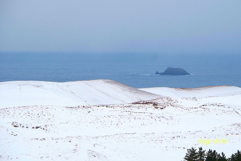 下って登っての繰り返しをしないと　あの丘まで行けない　手ごわい