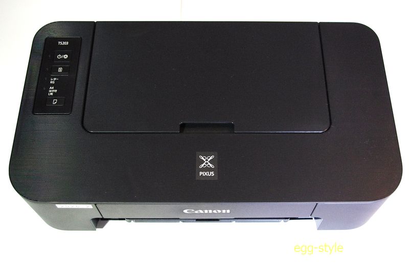 通販サイトで検索すれば即出てくるPIXUS TS203　単機能な廉価版