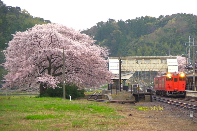 164D キハ47 豊岡行 停止位置より、出発したこの位置が良いのかも