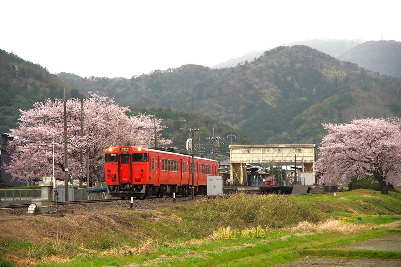 163D キハ47 浜坂行 来年に向けて構図を勉強します