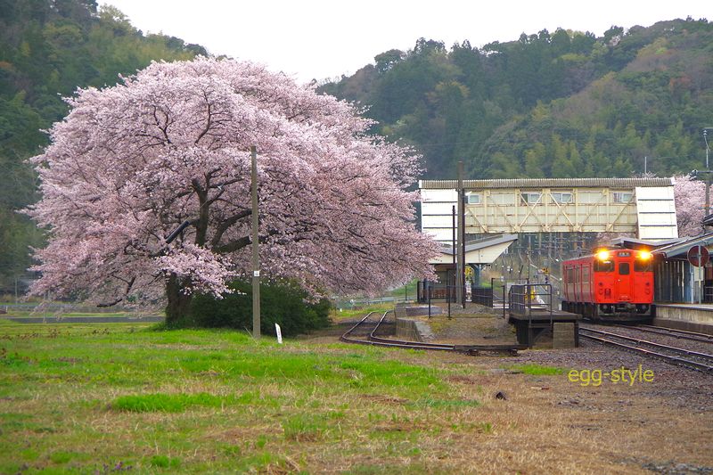 164D キハ47 豊岡行 浜坂へ行った161Dの折り返しか