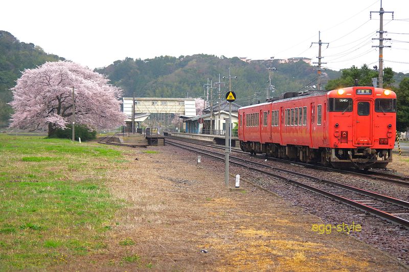 162D キハ47 豊岡行 離れるとよくないですね