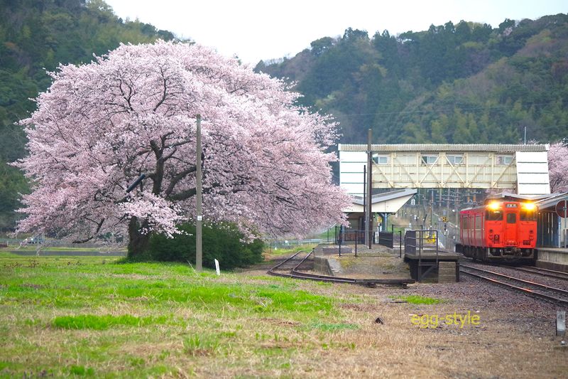 竹野駅の162D キハ47 豊岡行 使われていない番線だと抜群