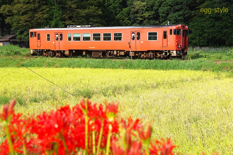 227D 下り 和田山行 キハ41-2002