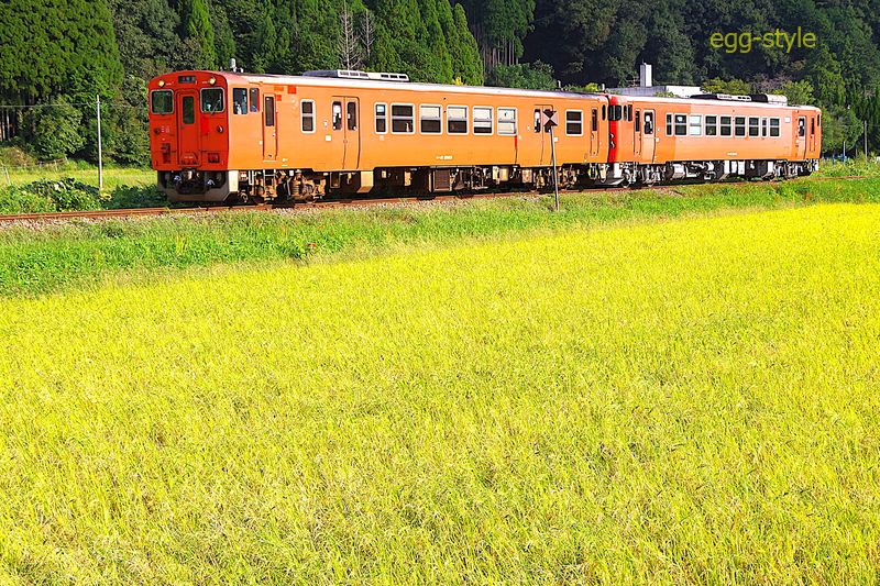 224D 上り 寺前行 キハ41-2003/40-2046