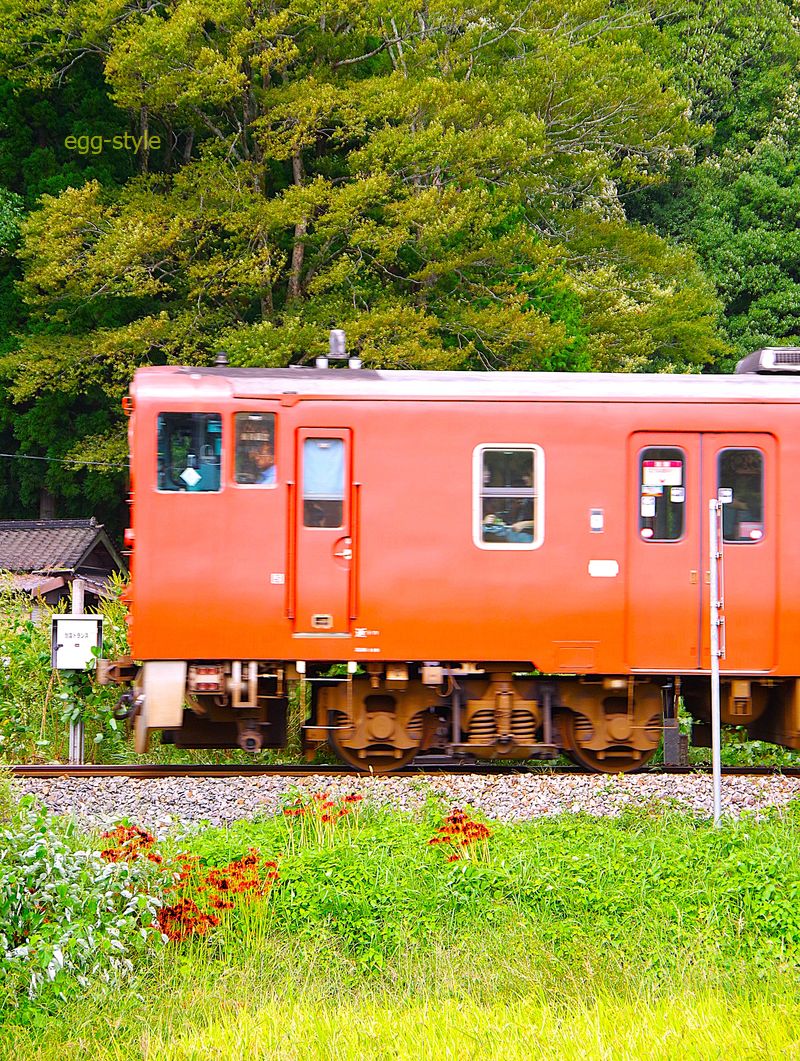 1/400でぶれた! 意外に速い 1226D 上り 寺前行 キハ41-2004 豊岡発