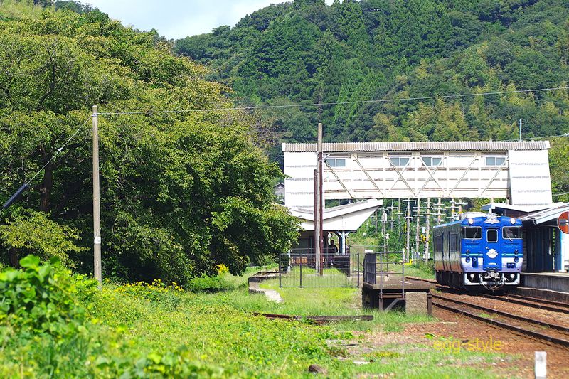 下り普通列車との交換で待機中 左の大きな木は、見事な桜(別記事あり)