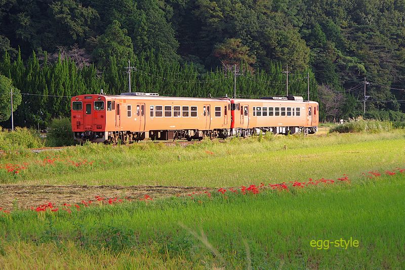 223D 下り 和田山行 キハ41-2003/40-2046