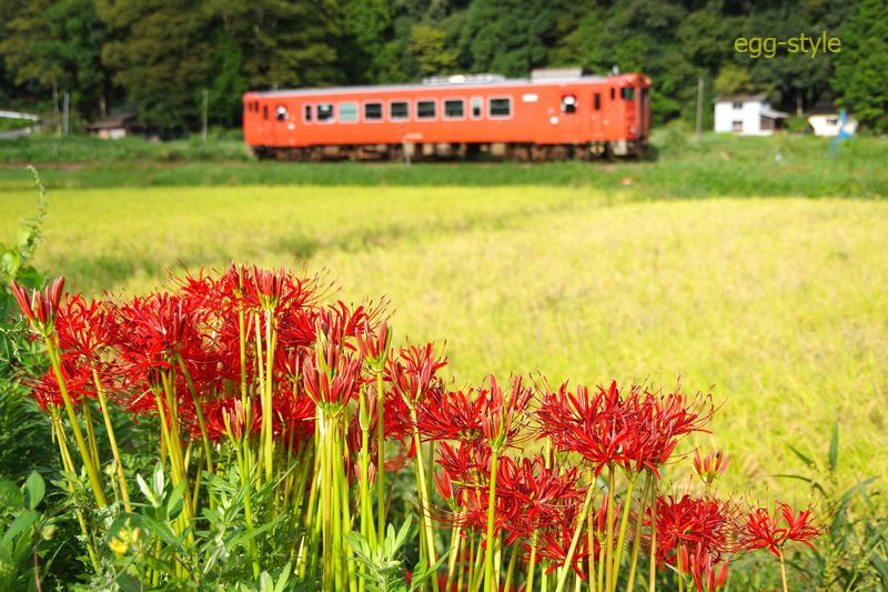 1225D 下り城崎温泉行 キハ40-2046